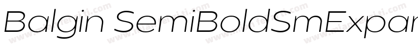 Balgin SemiBoldSmExpanded Regular字体转换